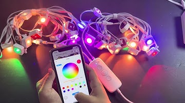 Step-by-Step Tutorial - Independently Control Each Lights with Dynamic Effect via ASAHOM APP