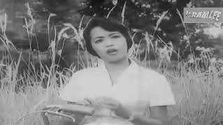 Seloma Shariff Dol - Seniman Bujang Lapok (1960an) P. Ramlee HD
