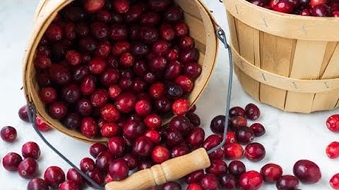 Wild Cranberry Sauce