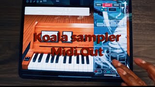 Koala Sampler Midi Out Update