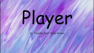 Player by Tinashe feat Chris Brown (Lyrics)