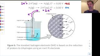 Standard Reduction Potentials and the Standard Hydrogen Electrode | OpenStax Chemistry 2e 17.3