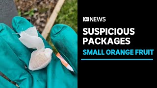 Suspicious orange fruit packages left in Sydney letterboxes