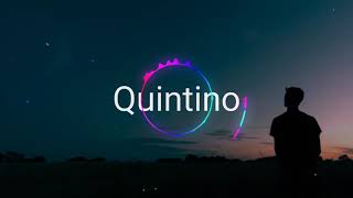 Famous Quintino - Make Believe (JVMES Remix) Net Worth