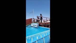 Spitfire Visits The Flight Crew Dock Diving Club - 06/04/2023 by John Colorado 275 views 11 months ago 7 minutes, 11 seconds