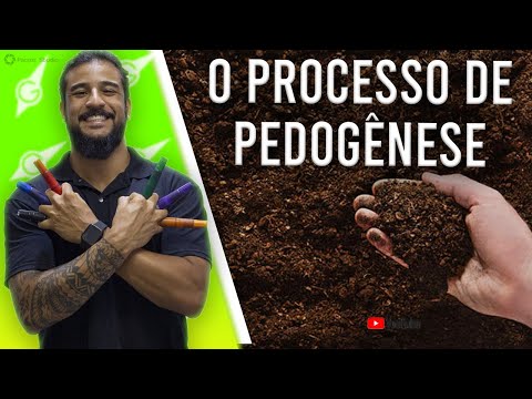 Vídeo: O que é fator de formação do solo? Quais são os fatores de formação do solo?