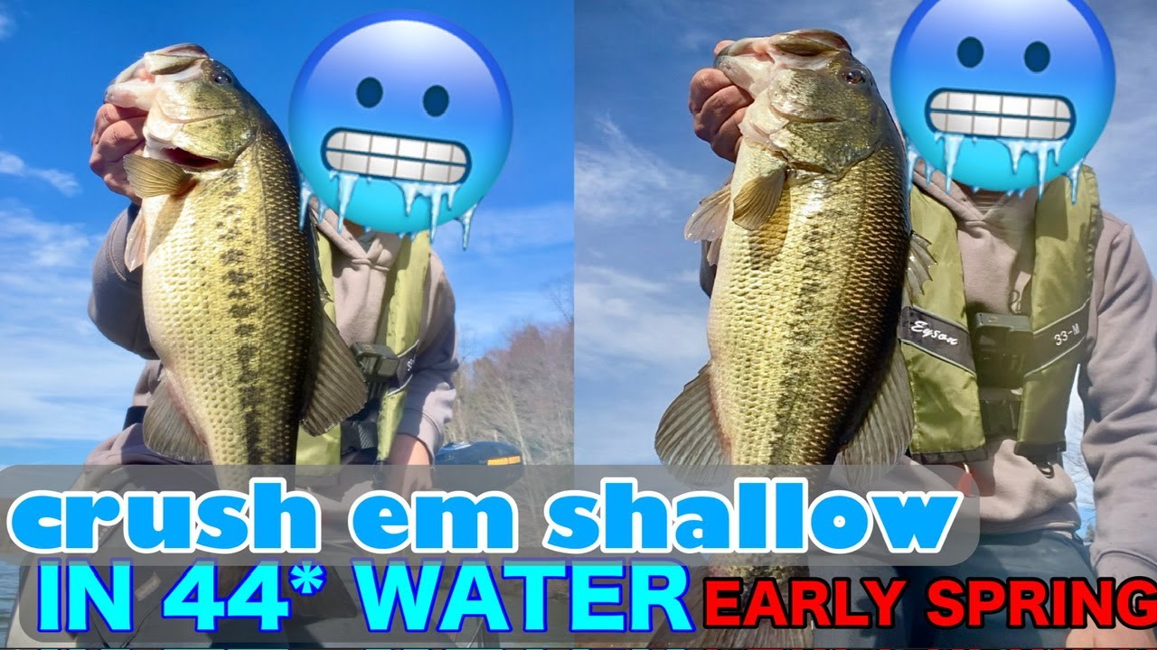 Super Shallow Late Winter Bass Fishing