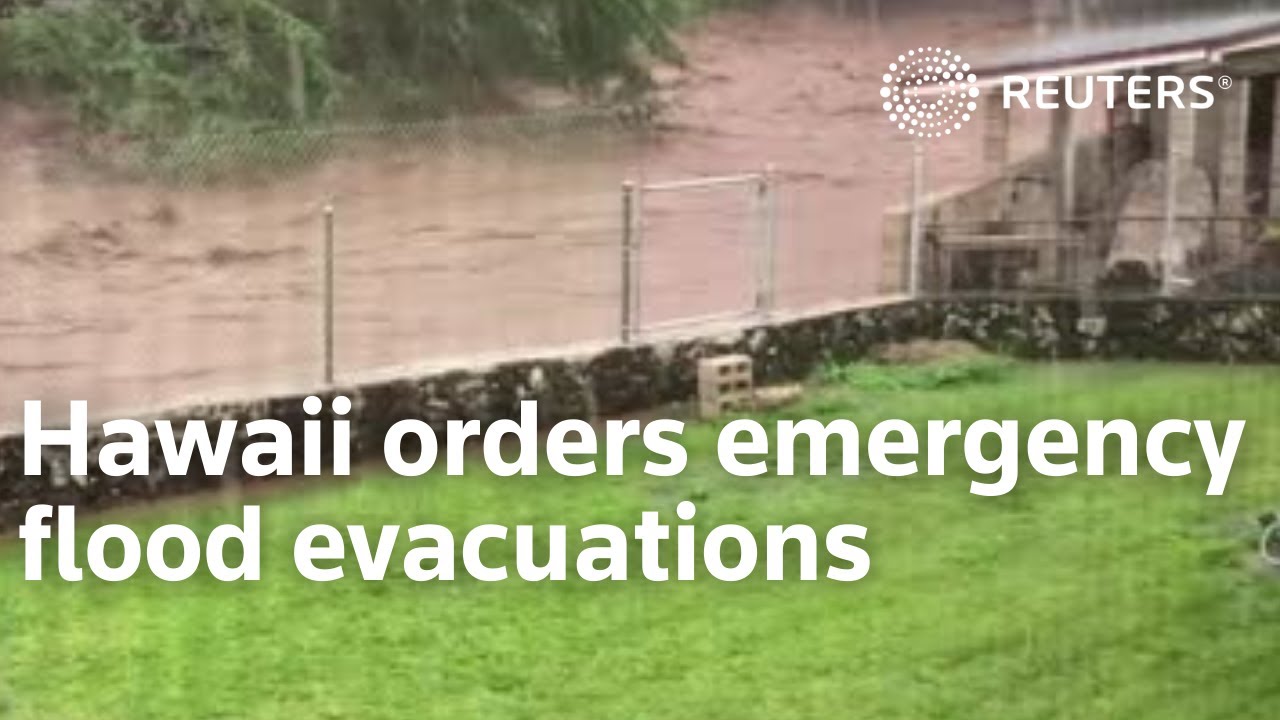 動画 米ハワイ州が非常事態宣言 豪雨で洪水や土砂崩れ ニューズウィーク日本版 オフィシャルサイト 動画 米ハワイ州が非常事態宣言 豪雨で洪水や土砂崩れ ニューズウィーク日本版 オフィシャルサイト