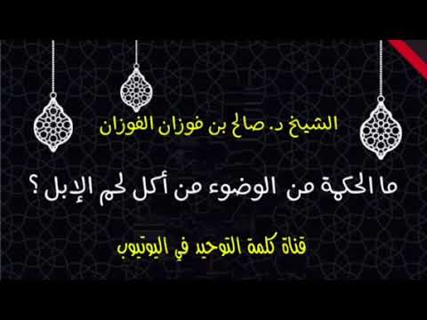 الشيخ د. صالح الفوزان : ما الحكمة من الوضوء عند اكلنا من لحم الإبل ؟