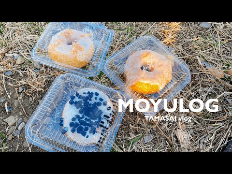 多摩サイvlog｜強風のなか未踏の多摩サイを走るライド｜cafe 蘖さんで牛テールシチュー｜HUGSY DOUGHNUTさんでおやつ｜はじめての食レポ