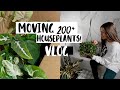 Moving Homes with 200+ Houseplants Vlog! | Moving with Indoor Plants!