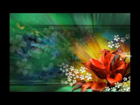 Destructief vergaan Plasticiteit flowers abstract. bloemen als abstracte kunst. - YouTube