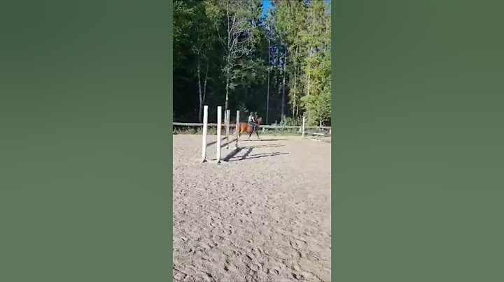 Nu har jag laddat upp dag 2 av vloggveckan! Gå in och kolla! det kommer en vlogg varje dag i 7 dagar