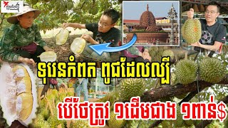 ទុរេនកំពត ជាស្ដេចផ្លែឈើប្រចាំតំបន់​ មានតម្លៃថ្លៃថែត្រូវ១ដើមចំណូលជាង១ពាន់$ | កម្មវិធីក្ដីស្រមៃខ្ញុំ