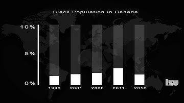 Bar Chart In After Effects | Percentage of Black Population In Canada