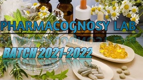 pharmacognosy lab T.S. of Cinchona