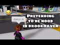 Pretending to be noob in brookhaven 