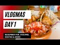 VLOGMAS Day 1: December Fun &amp; Tips on Cozumel, Mexico