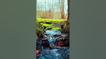 سورة الزخرف [الآية:71] | القارئ محمد صديق المنشاوي