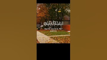 تلاوة مؤثرة جداً😢 ماهر المعيقلي