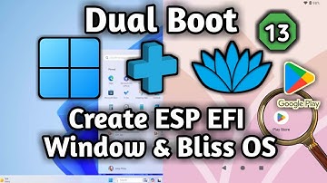Dual boot bliss OS and window 11 create ESP EFI for bliss OS