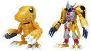 Warp Digvolving Agumon to War Greymon