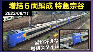 【増結6両編成】苗穂で6両の特急宗谷を見てきた 2023/08/11 #キハ261系 #宗谷本線