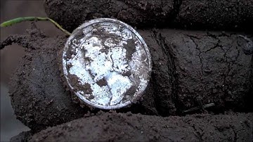 11 SILVER Sunday with Live Digs