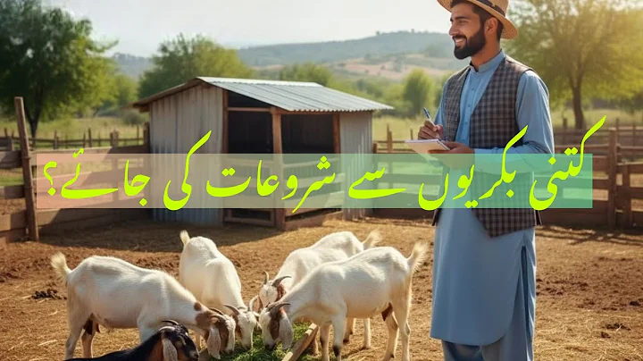 How many goats to start with?| کتنی بکریوں سے شروعات کی جائے؟