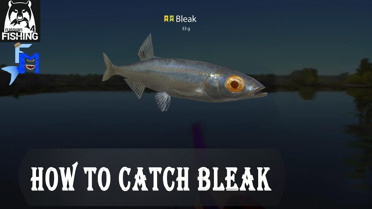 How to catch BLEAK on Volkov, Best Spot and Equipment [Russian Fishing 4 Tutorial]