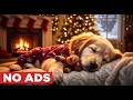 12 HOURS Dog Calming Music 🐶🔥 Powerful Separation Anxiety Relief &amp; Deep Sleep (NO ADS)
