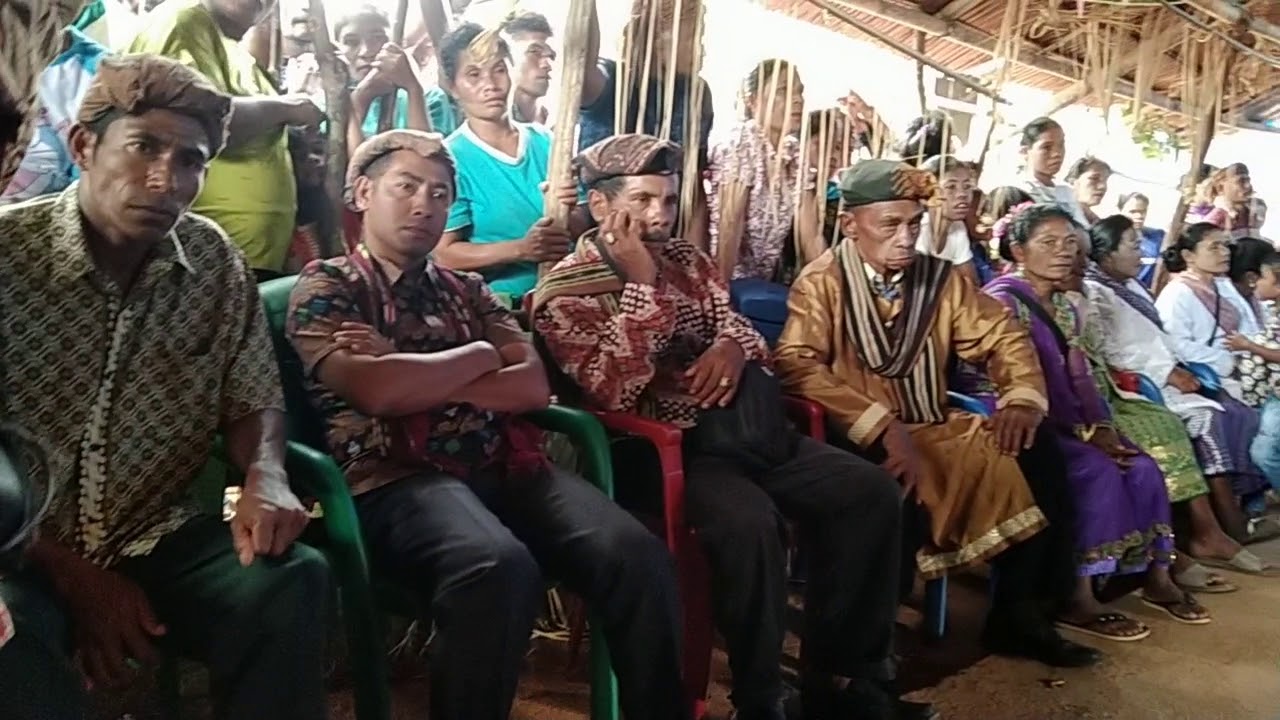 Budaya pelantikan kepala adat pulau buru.