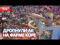 Лютые Замесы Против 400 Варов / Выбили МЖ Сет / BoHpts