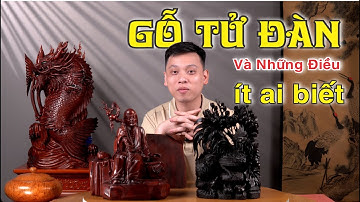 Gỗ Tử Đàn Và Kiến Thức Chuyên Sâu Nhất Cần Phải Biết | Tượng Gỗ Đẹp