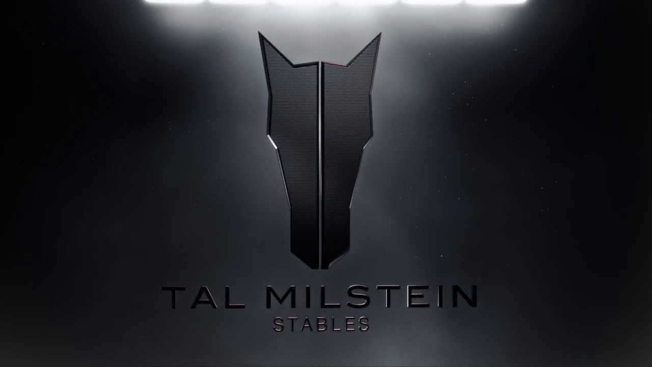 Tal Milstein Stables logo reveal