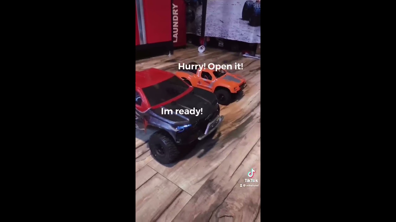 Slash And Tiger Meet Connor Rccars Eurorc Shorts Friends