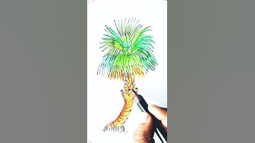 palm tree drawing #Shorts