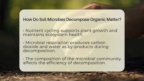 How Do Soil Microbes Decompose Organic Matter? - Ecosystem Essentials