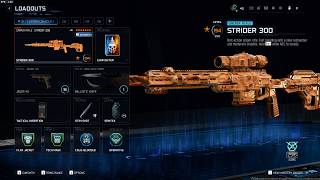 This Strider 300 class is Overpowered (Black ops 7)