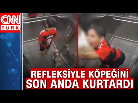 Köpeğin tasması asansörün kapısına sıkıştı, çocuk son anda kurtardı! İşte o görüntü...