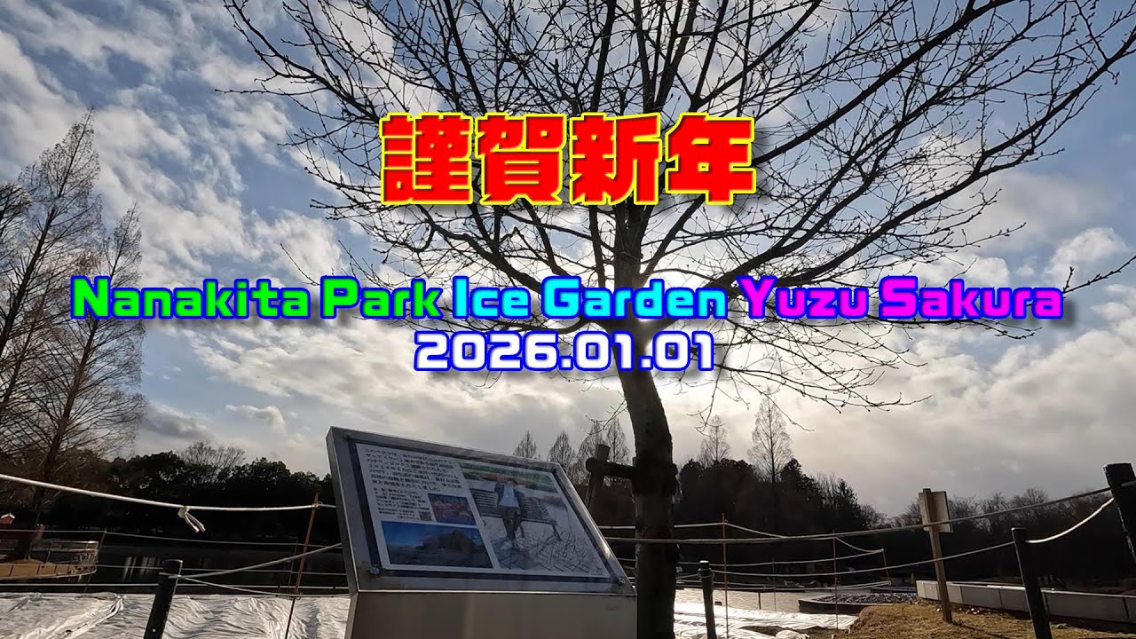 🎍謹賀新年🌄 🌸ゆづ桜❄️ 🗓️2026.01.01 🌲七北田公園 ❄️アイスガーデン⛸️ネモフィラ💙 