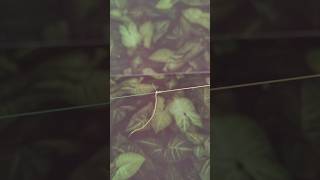 30 Second Braid to Mono Knot: Simple \u0026 Effective!