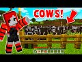 I Got COWS!!!!!!!!!! In Minecraft (PT 3)