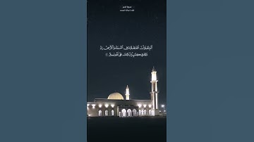 (الم تعلم ان الله يعلم ما في السماء والارض )  آيه من القرآن الكريم | عبدالله الموسى