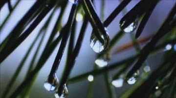 أجمل التلاوات - سورة الواقعة - للقارىء مهند الكاتب -  يرحمه الله