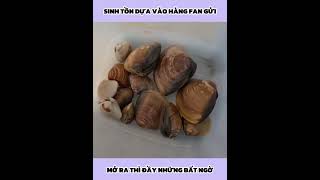 Anh Chàng Sinh Tồn Bằng Hàng Fan Gửi | P18