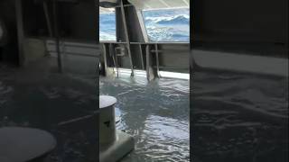 Kapal Laut Diterjang Ombak#shorts