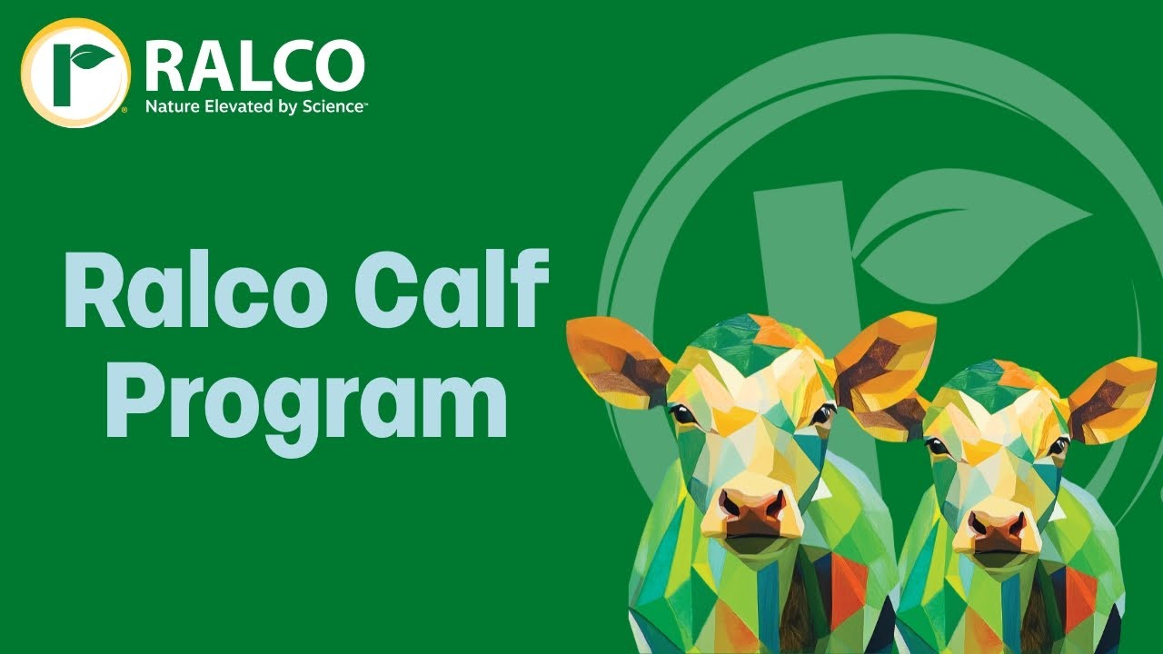 Ralco Ralco's Natural Calf Program - YouTube