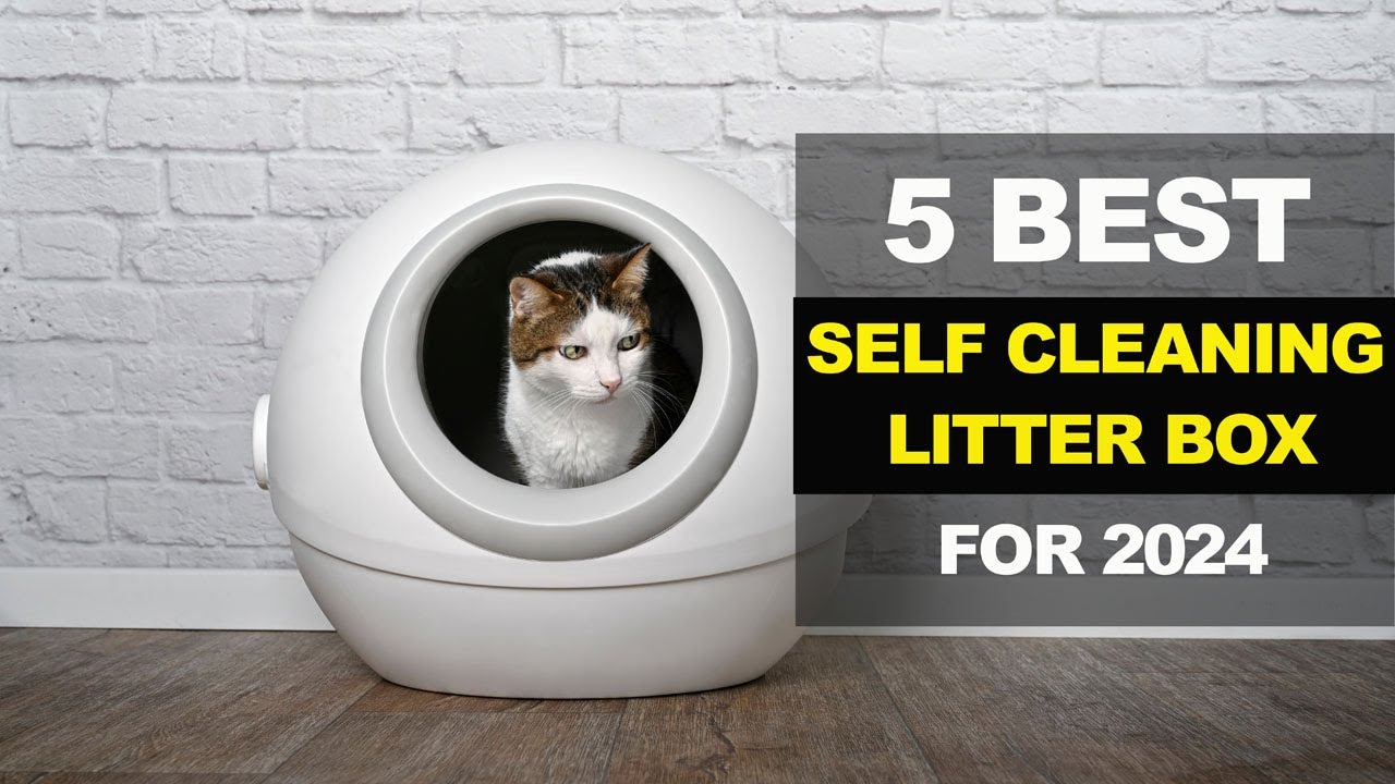 The 6 Best Automatic Litter Boxes of 2024, Tested and Reviewed