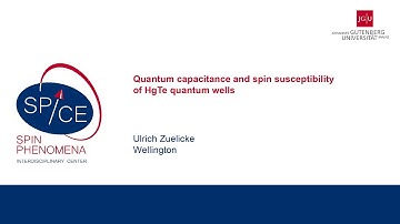 Talks - Spin Dynamics in the Dirac Systems - Ulrich Zuelicke, Wellington